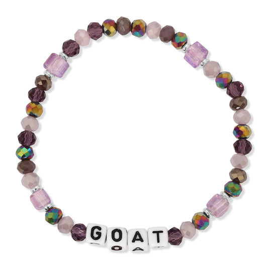 purple and rainbow beaded bracelet with goat letters